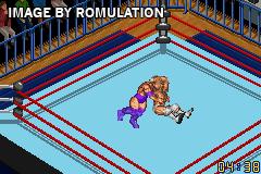 Fire Pro Wrestling 2 for GBA screenshot