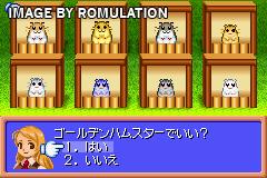 Hamster Paradise Advanchu for GBA screenshot