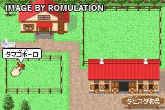 Derby Stallion Advance for GBA screenshot