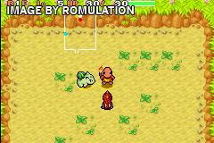 pokemon mystery dungeon red rescue team cheats