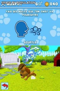 Zhu Zhu Puppies for NDS screenshot