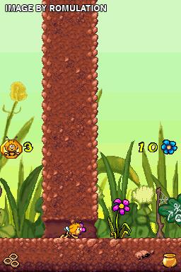 Bee Game, The  for NDS screenshot