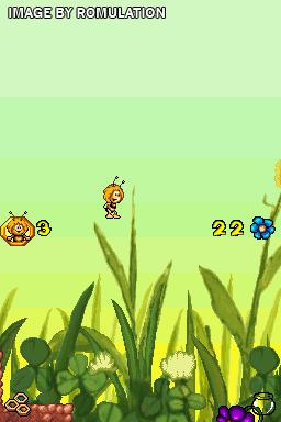 Bee Game, The  for NDS screenshot