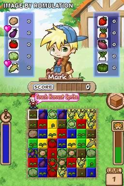 Harvest Moon - Frantic Farming for NDS screenshot