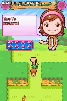 Camping Mama - Outdoor Adventures for NDS screenshot