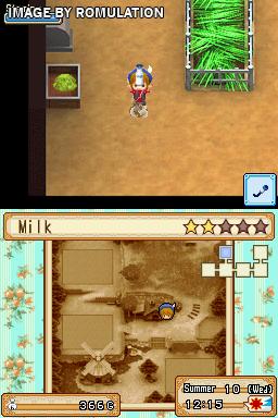 Harvest Moon DS - Grand Bazaar for NDS screenshot