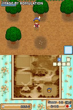 Harvest Moon DS - Grand Bazaar for NDS screenshot