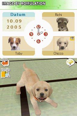 Nintendogs for NDS screenshot