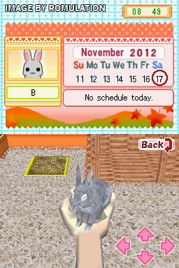 Bunnyz  for NDS screenshot