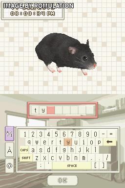 Hamsterz 2 for NDS screenshot