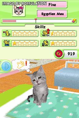 Catz  for NDS screenshot