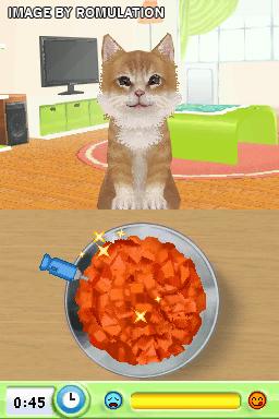 Catz  for NDS screenshot