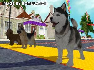 Petz Dogz 2 for Wii screenshot