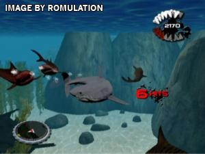 Jaws Ultimate Predator for Wii screenshot