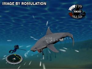 Jaws Ultimate Predator for Wii screenshot