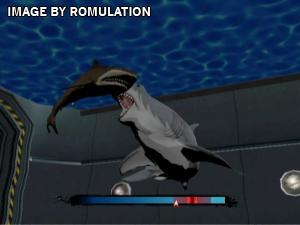 Jaws Ultimate Predator for Wii screenshot